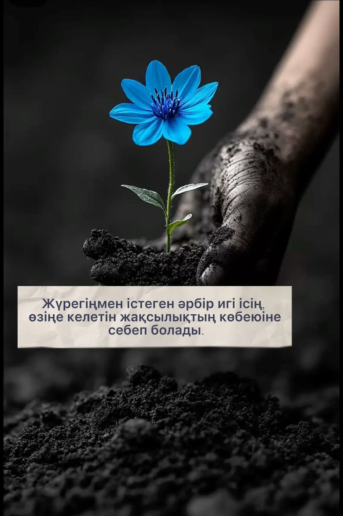 #мағыналысөз #elbruso #fyp #ойлысөздер #foryou 