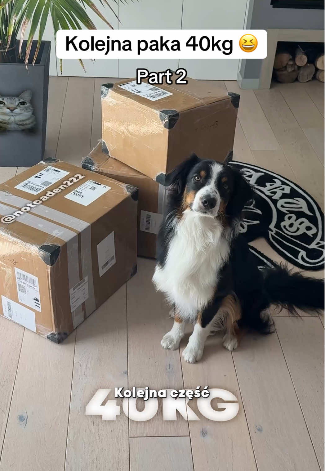 40kg haul #kakobuy #cnfans #cnfanshaul #joyabuy 