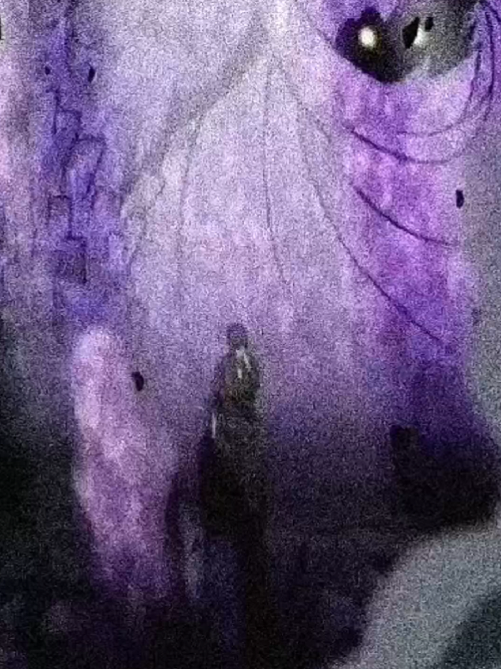 see the darkness quite well. #anime #narutoshippuden #sasuke #sasukeedit #fypp #viral #edit 