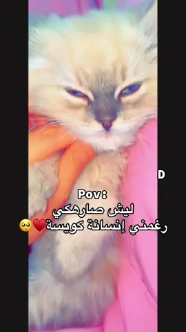 ليش صار هكي ♥️🥺#بنغازي_ليبيا🇱🇾 #اكسبلور #طريلس_بنغازي_البيضاء_البريقة_اجدابيا 