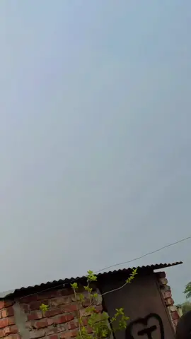 আম মিষ্টি জাম মিষ্টি তেতুল বড় টক গান টি পাবেন Bangla Music 007 ইউটিউব চ্যানেলে😍Sari from:@মুন ফ্যাশনBD 