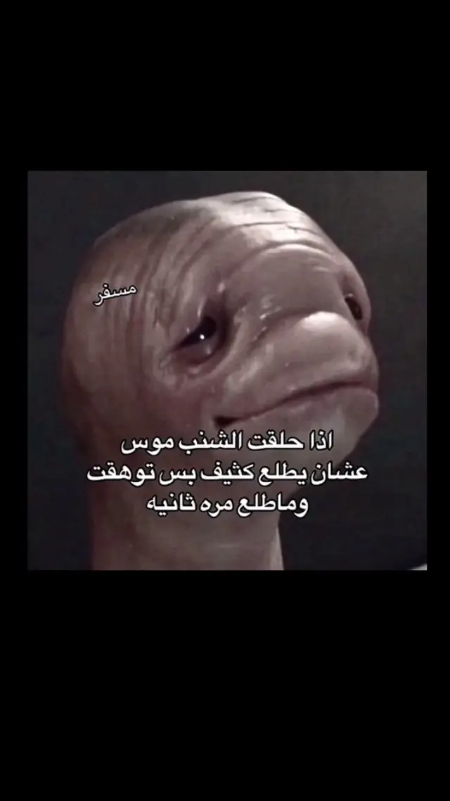 #تصير تصير #لايك #اكسبلور #انشششهد_في_ذمممتي👌🏻 