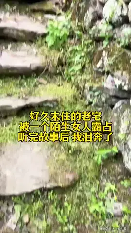 #热门推荐 #热门视频 #top 