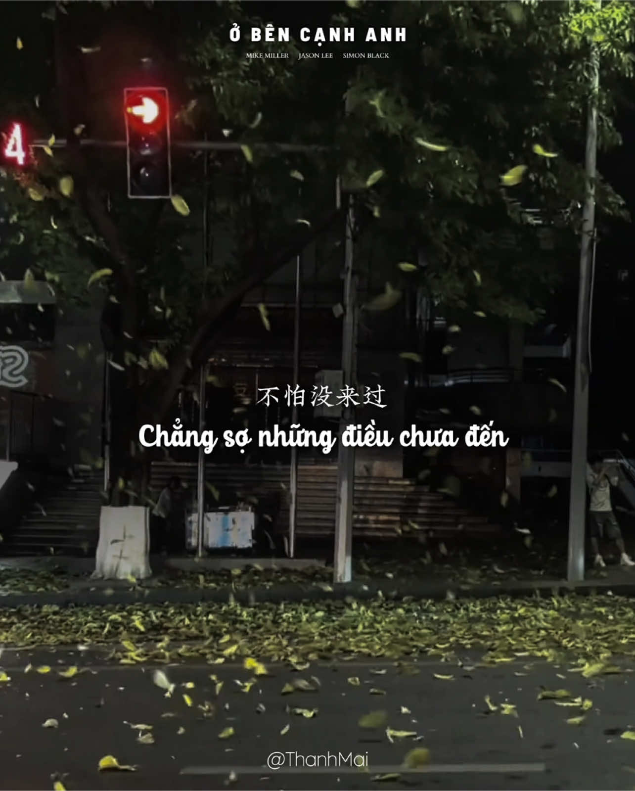 Mọi chuyện đã sớm trôi qua rất lâu rồi . ___       .                                  _                                                                 _   #在你的身边 #nhactrungquoc #lyrics #vietsub #obencanhem #thanhmai02112005 
