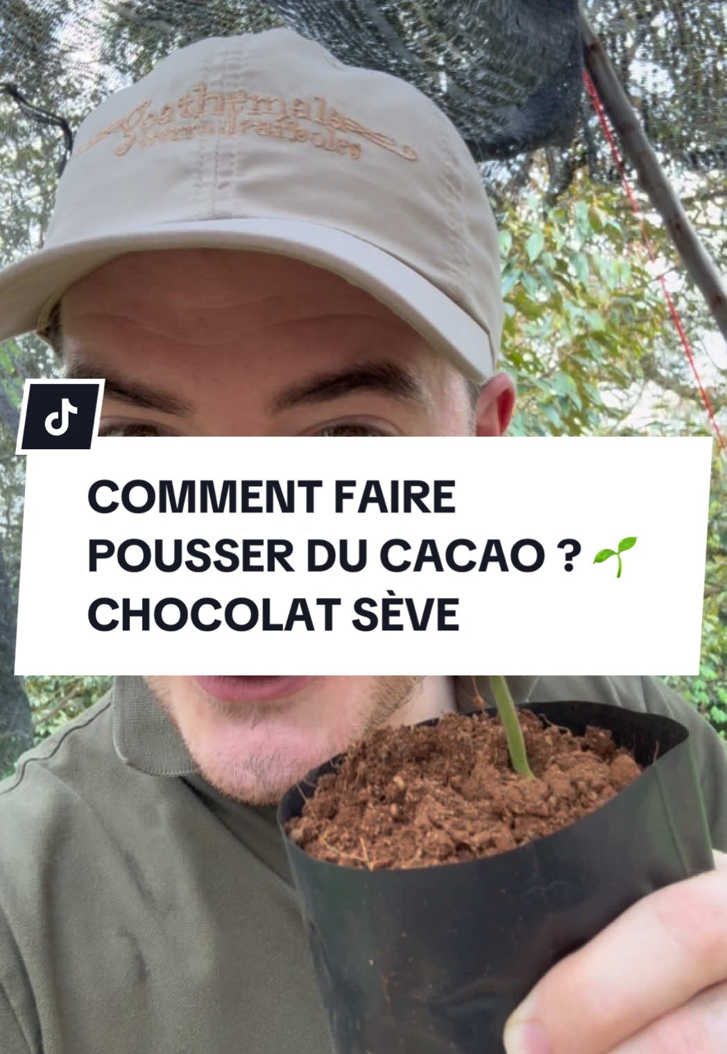 Voici la toute première étape d’une tablette de chocolat Sève. Une fève de cacao plantée en terre, qui donne naissance à cette jeune pousse de cacaoyer, ici en Thaïlande. Dans quelques temps, cette plante portera ses premières cabosses, pleines de fèves, qui seront récoltées, fermentées, séchées, puis transformées à Lyon dans notre manufacture artisanale. Un chocolat, ça ne pousse pas en tablette. Ça commence dans la terre, avec patience, respect et passion grâce à des agriculteurs exigeants. Bienvenue dans l’aventure bean to bar de la famille Sève 🍫 #chocolatseve #cacao #cacaoyer #fevedecacao #chocolat #arthurseve #thailand #cacaobean 