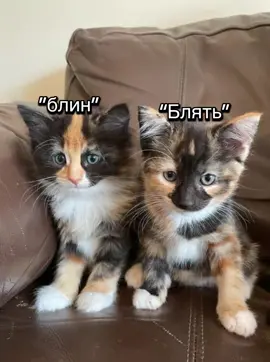 #рек#мат#маты#УЛЬЯНА ИДЕЯ НЕ МОЯ