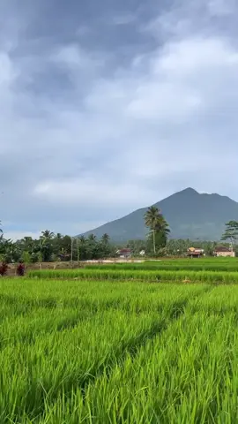 #tanggamus_lampung #gunung #lampung #alam #tanggamus #fy #yuorpage #gistingtanggamuslampung 