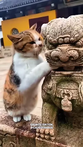 The secret behind the ball inside the lion statue's mouth