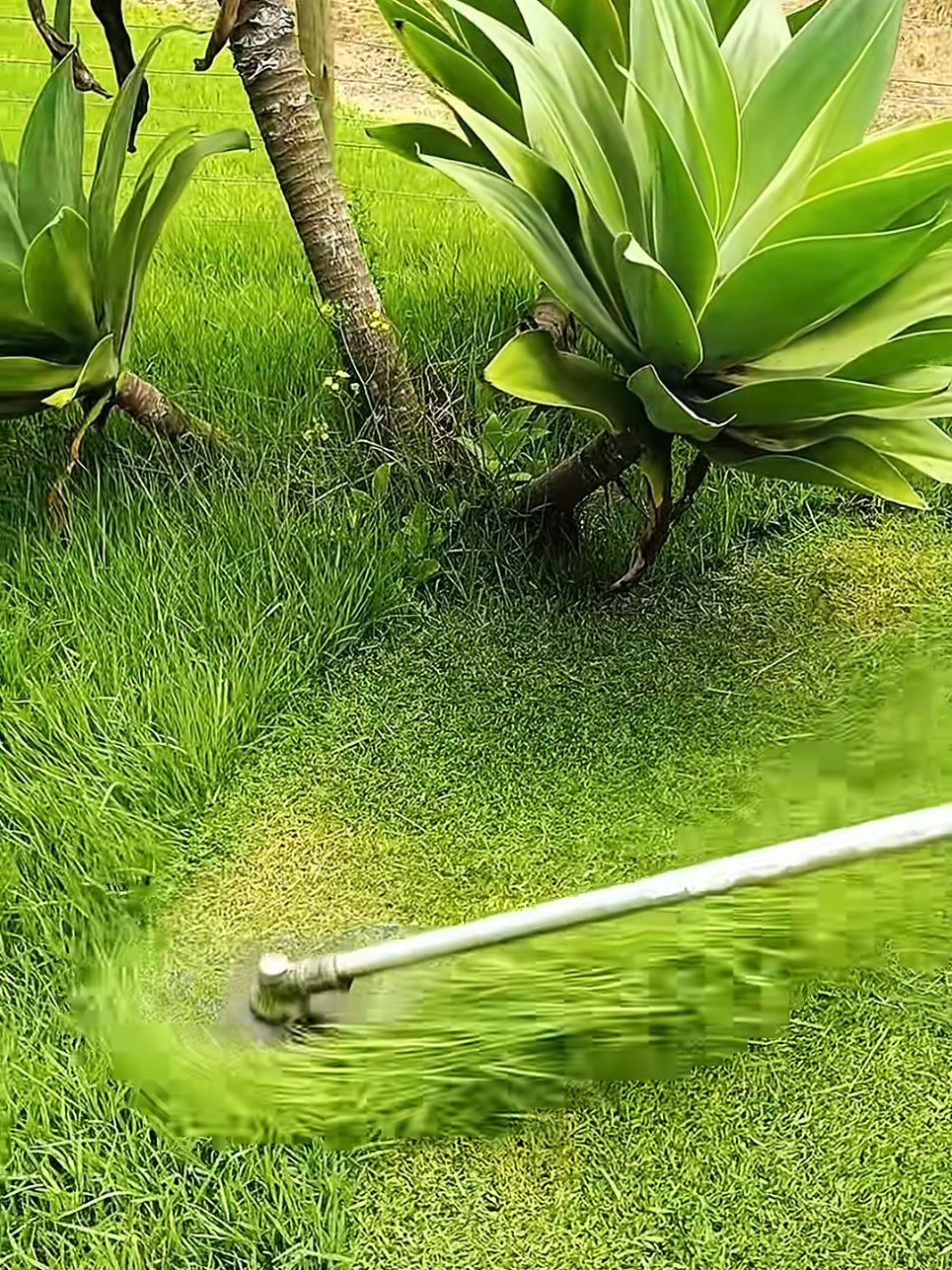 Oddly Satisfying Sensations | Mowing The Lawn Compilation ASMR | #Perfect cutt! 🍀💚 #lawntok #grasstok #gardentok #landscapersoftiktok #asmr #oddlysatisfying #Satisfying #mowing #lawn #garden #clean #CleanTok #landscape #gardening #lawncare #mowingthelawn #lawnmower #brushcutter #lawntiktok #lawnsoftiktok #lawnmowing #lawns #grasstiktok #cuttinggrass #satisfaction #spring #goviral #original #viral #viralvideos #viralvideo #viral_video #tiktok #tiktokviral #viraltiktok #viralvideotiktok #fyp #foryou #foryoupage #fypシ゚ #fypp #fyppppppppppppppppppppppp #parati #fürdich #pourtoi #paratii #paratiiiiiiiiiiiiiiiiiiiiiiiiiiiiiii #capcut #duet #loop #trend #trending #funny #checkthisout #lookatthis #creatorsearchinsights 