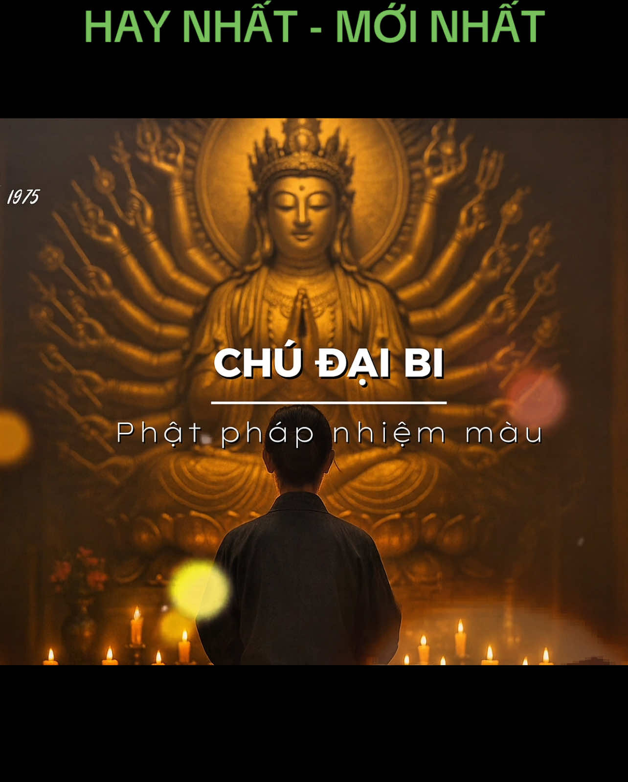 Mọi người nhớ nghe hết sẽ thấy sự thay đổi diệu kỳ #chudaibi #phatphapnhiemmau 