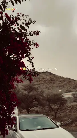 عالم لوہار گل بہوں وڈی کر گیا ۔🥺❤️‍🩹