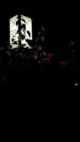 “O Mahii.”🌚#fyppppppppppppppppppppppp #reposting #viral #tiktokdonotunderreviewmyvideos #fyppppppppppppppppppppppppppppppppppp #lines💔 #fyppppppppppppppppppppppppppppppppppp #fyppppppppppppppppppppppppppppppppppp #fyppppppppppppppppppppppppppppppppppp #fyppppppppppppppppppppppppppppppppppp #lines💔 