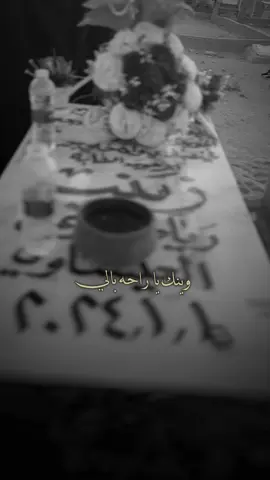 💔💔💔#الهم_ارحمها_واغفر_لها #لفقيدتي #اختي #زينب #النجف #fyppppppppppppppppppppppp #fyp  