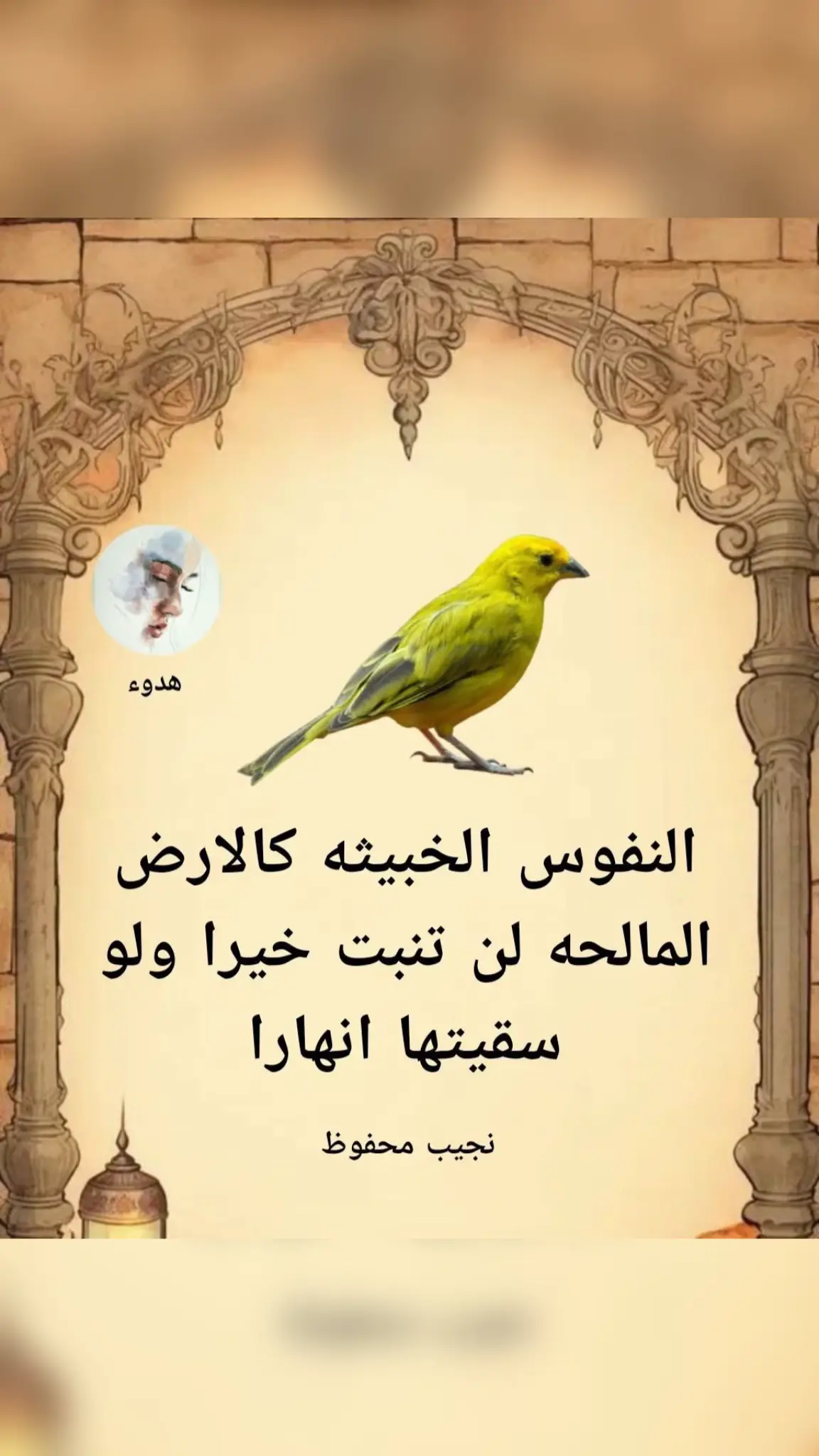 #Explore #tiktok 