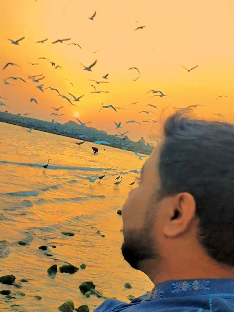 sunset, seabird &.... . . . . . #shahgee47 #goldenglow #sunset #seabird 