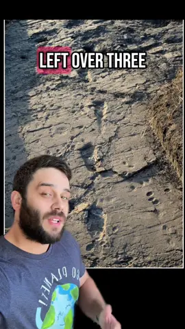 The Laetoli Footprints #sciencetok #evolution #LearnOnTikTok #learning #stem #archaeology #paleontology #sapiens #ancient #history #mystery #animals 