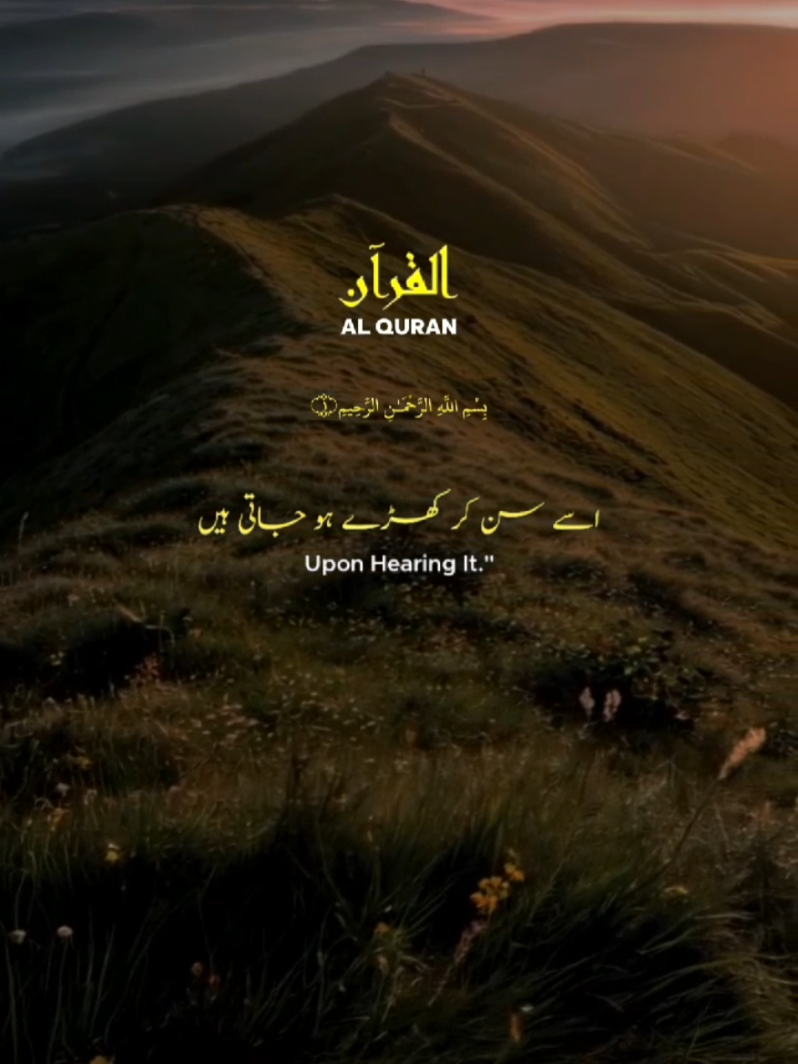 Surah Al Luqman, verses: 6 Surah Az zumar, verse:23 ❤✨ #sound #quran #islamic_video #nasheed #quran_recitation_143 