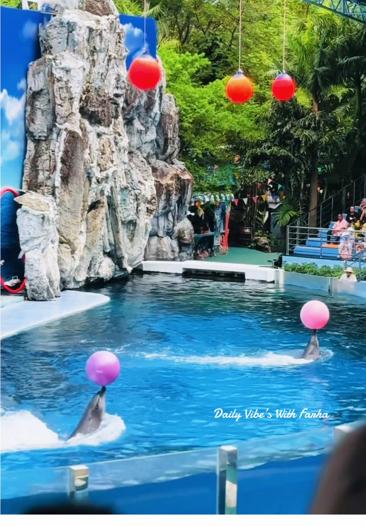 Dolphin show 🐬 #safariworldbangkok #dolphin #show #thailand #bangkok #travel #dailyvlog #tranding #fypシ゚viral #fyp 