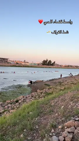 واسط /الحي 