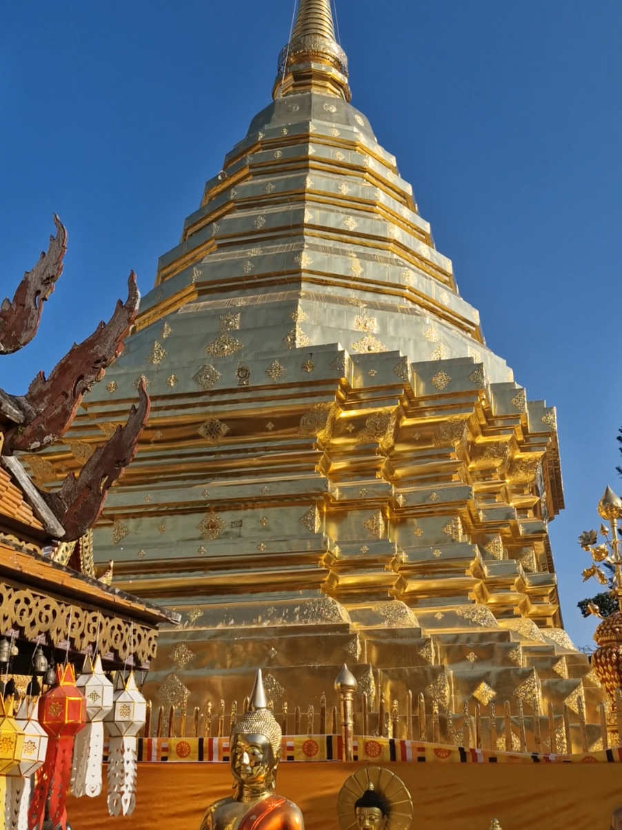 Doi Suthep Temple 🤩🛕 Chiang Mai, Thailand 📍🇹🇭 The legend of Doi Suthep Temple states that a monk named Sumanathera who, in a dream, was led to find a Buddha relic bone. This relic, believed to be a fragment of the Buddha's shoulder, displayed supernatural powers. Initially, the king of Sukhothai was unimpressed, but the Lanna king Nu Naone, after hearing of the relic, invited Sumanathera to bring it to his kingdom.  When the relic arrived, it split into two pieces. One was enshrined at Wat Suan Dok, while the other was placed on the back of a sacred white elephant. The elephant wandered into the jungle and climbed the hill of Doi Suthep, where it died. This event marked the site as holy, and the Lanna king, Nu Naone, ordered a temple to be built there to house the relic, thus establishing Wat Phra That Doi Suthep. #doisuthep #temple #thailandtiktok #chiangmaithailand #thailand #chiangmai #buddhist #thai #gold #relic #legend #traveltiktok #fyp #travel #buddha 