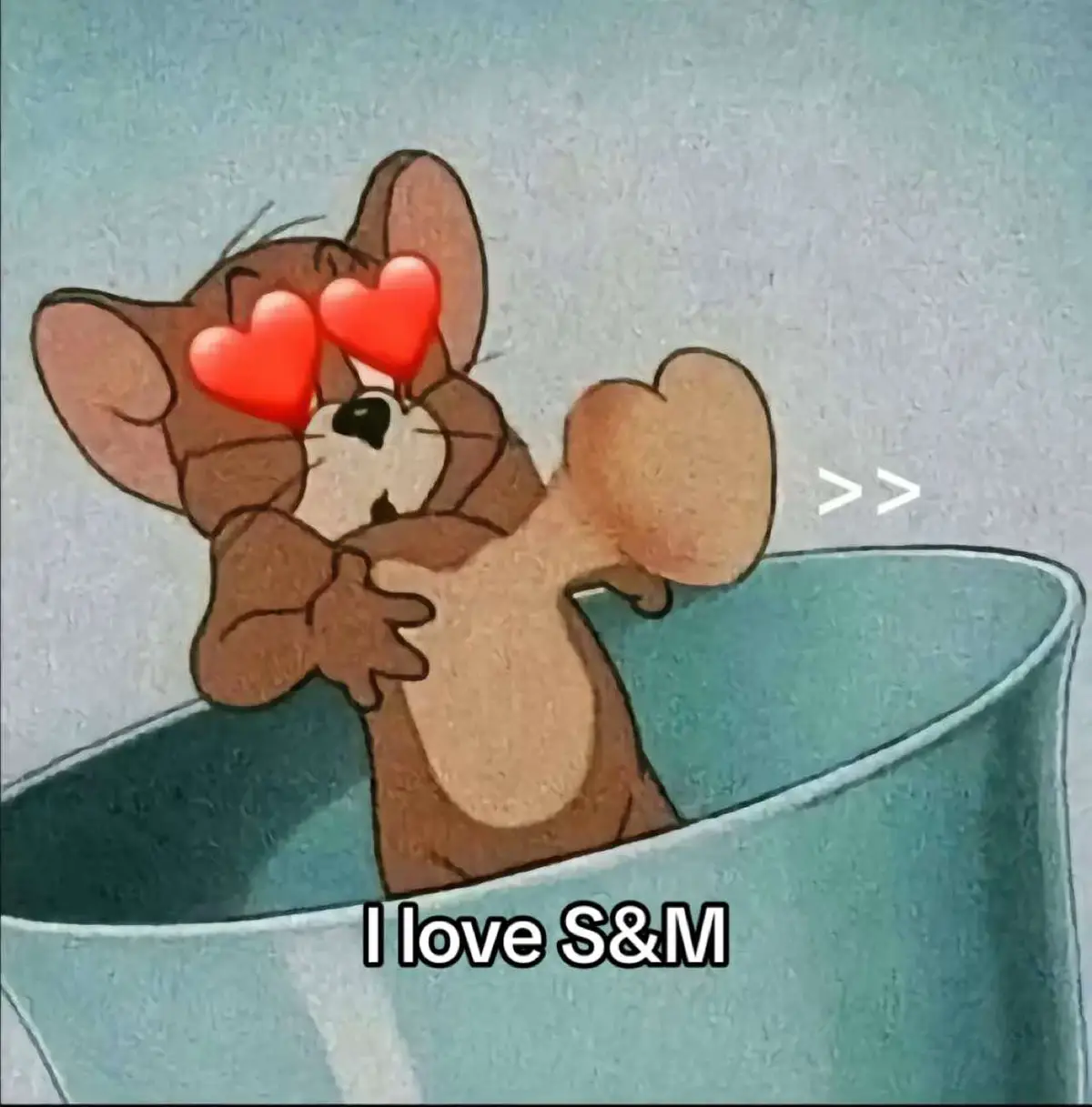 I love S&M 2026😍☠️ #foryou #viral #views #tiktok #typ #bmw #kawasakininja #ducati #yamaha #4k #viraltiktok #viralvideo 