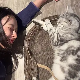 ketika saya melihat caption Ig @sugus____😮‍💨  kaya gini jadi kepikiran p'milk ,terkadang  ada fase dimana kita butuh sandaran Sandaran di rumah ,engga semua perlu di ceritain dengan orang lain,terkadang butuh peliharaan,lelah yah..sini peluk dari jauh p'milk🫂,bener atau enggaknya pokonya semangat yah p'milk💪🏻👃🏻😘 #MilkPansa #mimiv @Panly 
