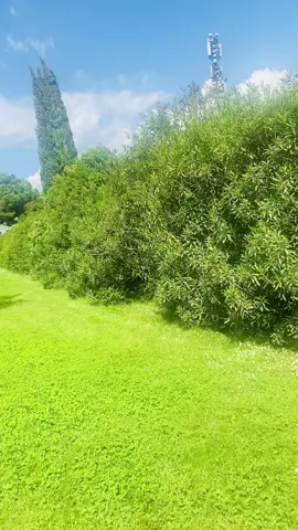 #rovereto #italy🇮🇹 #pakistan🇵🇰