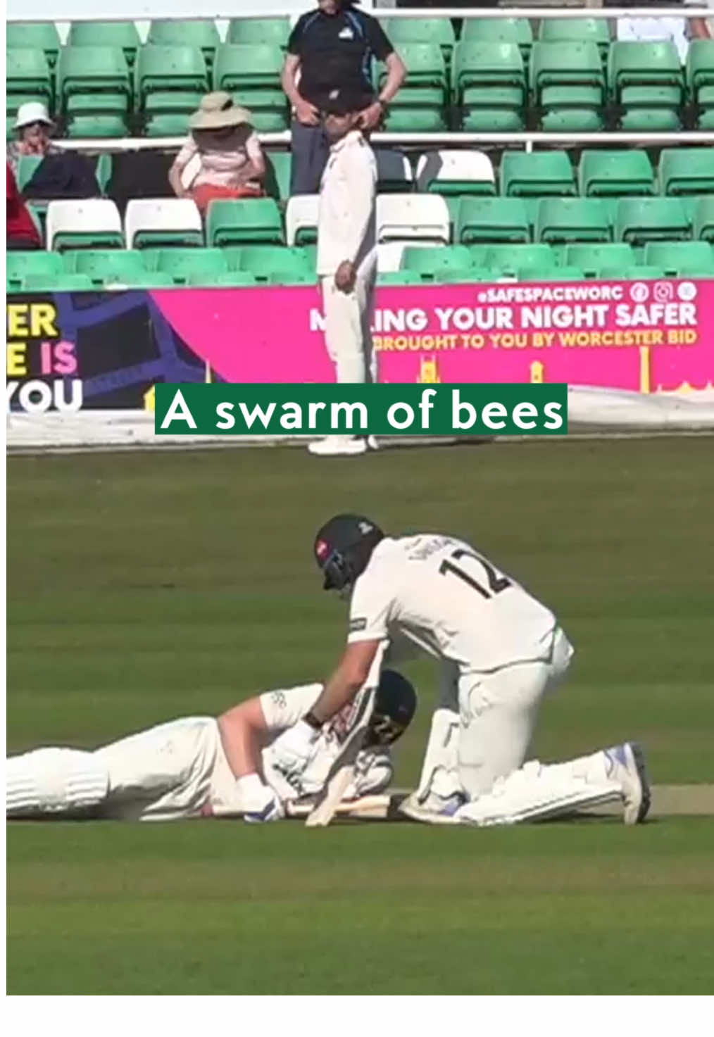 An unusual stoppage in play between Worcestershire and Essex #bees #crictok #cricketlover #cricket #crickethighlights 