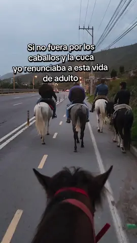 Renunciaba hace rato  #chagras_x_herencia🐂🍻🤠😍 #caballoparqueado #caballobailador #chagrasecuador #ecuador #caballos #frases #humor