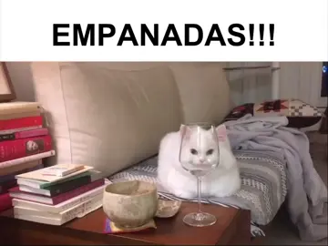 empanadas 😳 #gato #empanadas #fyp 