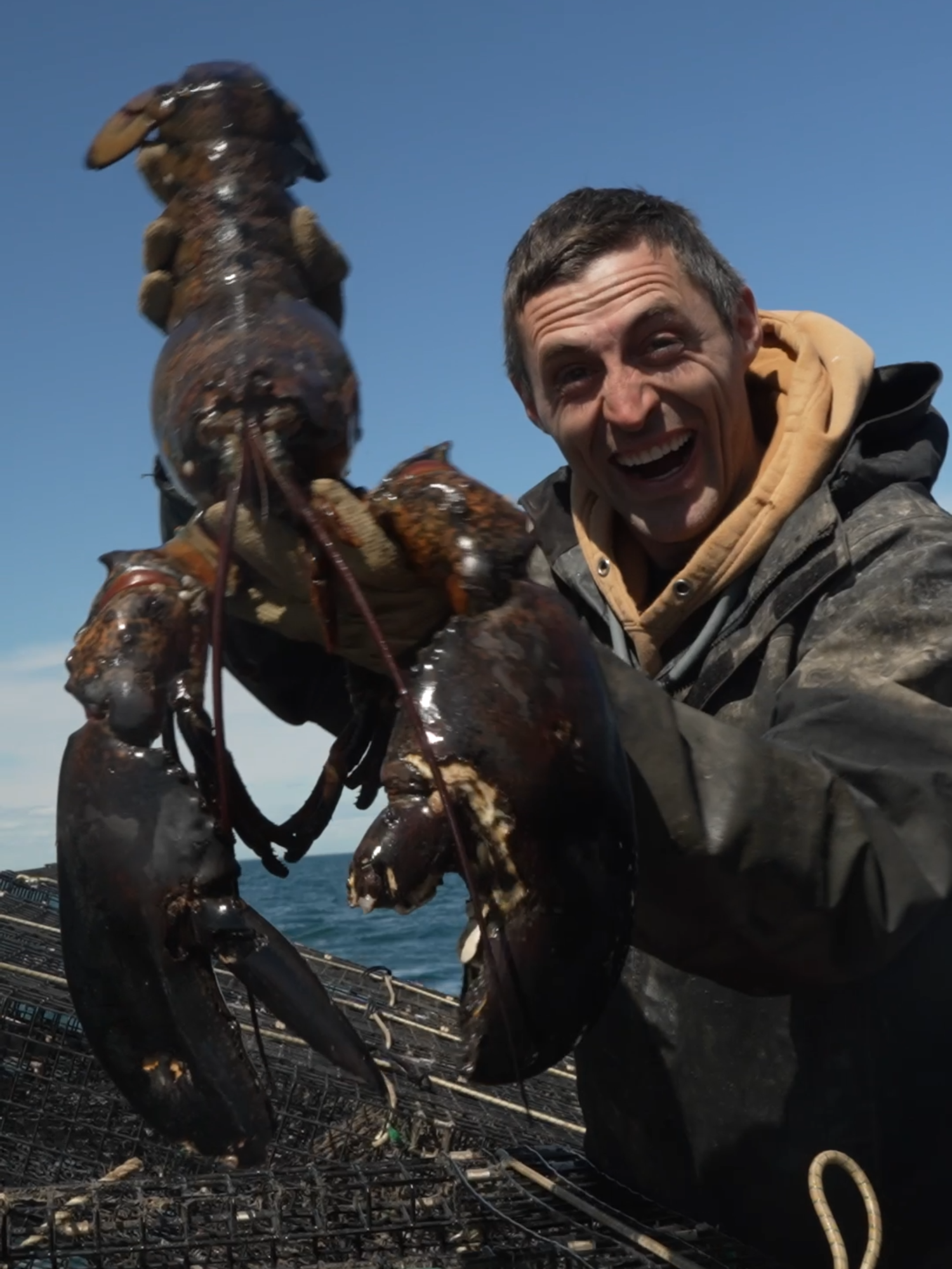 What a giant!! Always love seeing them come up! #maine #Outdoors #lobster #fishing #seafood #interesting #educate #learn #commercialfishing #education