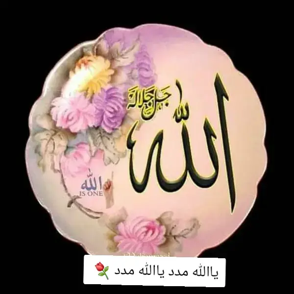 للہ ❣️ اللہ ❣️ اللہ ❣️ اللہ ❣️ اللہ ❣️ اللہ ❣️ اللہ ❣️ اللہ ❣️ اللہ ❣️ اللہ ❣️ اللہ ❣️ اللہ ❣️ اللہ ❣️ اللہ ❣️ اللہ ❣️ اللہ 💐اللہ 💐اللہ 💐اللہ 💐اللہ 💐اللہ 💐اللہ 💐اللہ 💐اللہ 💐اللہ 💐اللہ 💐اللہ 💐اللہ 💐اللہ 💐اللہ 💐اللہ 💐اللہ 💐اللہ 💐اللہ 💐اللہ 💐اللہ 💐اللہ 💐اللہ 💐اللہ 💐اللہ 💐اللہ 💐اللہ 💐اللہ 💐اللہ 💐اللہ 💐اللہ 💐اللہ 💐اللہ 💐اللہ 💐اللہ 💐اللہ 💐اللہ 💐اللہ 💐اللہ 💐اللہ 💐اللہ 💐اللہ 💐اللہ 💐اللہ 💐اللہ 💐اللہ 💐اللہ 💐اللہ 💐اللہ 💐اللہ 💐للہ ❣️ اللہ ❣️ اللہ ❣️ اللہ ❣️ اللہ ❣️ اللہ ❣️ اللہ ❣️ اللہ ❣️ اللہ ❣️ اللہ ❣️ اللہ ❣️ اللہ ❣️ اللہ ❣️ اللہ ❣️ اللہ ❣️ اللہ 💐اللہ 💐اللہ 💐اللہ 💐اللہ 💐اللہ 💐اللہ 💐اللہ 💐اللہ 💐اللہ 💐اللہ 💐اللہ 💐اللہ 💐اللہ 💐اللہ 💐اللہ 💐اللہ 💐اللہ 💐اللہ 💐اللہ 💐اللہ 💐اللہ 💐اللہ 💐اللہ 💐اللہ 💐للہ ❣️ اللہ ❣️ اللہ ❣️ اللہ ❣️ اللہ ❣️ اللہ ❣️ اللہ ❣️ اللہ ❣️ اللہ ❣️ اللہ ❣️ اللہ ❣️ اللہ ❣️ اللہ ❣️ اللہ ❣️ اللہ ❣️ اللہ 💐اللہ 💐اللہ 💐اللہ 💐اللہ 💐اللہ 💐اللہ 💐اللہ 💐اللہ 💐اللہ 💐اللہ 💐اللہ 💐اللہ 💐اللہ 💐اللہ 💐اللہ 💐اللہ 💐اللہ 💐اللہ 💐اللہ 💐اللہ 💐اللہ 💐اللہ 💐اللہ 💐اللہ 💐للہ ❣️ اللہ ❣️ اللہ ❣️ اللہ ❣️ اللہ ❣️ اللہ ❣️ اللہ ❣️ اللہ ❣️ اللہ ❣️ اللہ ❣️ اللہ ❣️ اللہ ❣️ اللہ ❣️ اللہ ❣️ اللہ ❣️ اللہ 💐اللہ 💐اللہ 💐اللہ 💐اللہ 💐اللہ 💐اللہ 💐اللہ 💐اللہ 💐اللہ 💐اللہ 💐اللہ 💐اللہ 💐اللہ 💐اللہ 💐اللہ 💐اللہ 💐اللہ 💐اللہ 💐اللہ 💐اللہ 💐اللہ 💐اللہ 💐اللہ 💐اللہ 💐للہ ❣️ اللہ ❣️ اللہ ❣️ اللہ ❣️ اللہ ❣️ اللہ ❣️ اللہ ❣️ اللہ ❣️ اللہ ❣️ اللہ ❣️ اللہ ❣️ اللہ ❣️ اللہ ❣️ اللہ ❣️ اللہ ❣️ اللہ 💐اللہ 💐اللہ 💐اللہ 💐اللہ 💐اللہ 💐اللہ 💐اللہ 💐اللہ 💐اللہ 💐اللہ 💐اللہ 💐اللہ 💐اللہ 💐اللہ 💐اللہ 💐اللہ 💐اللہ 💐اللہ 💐اللہ 💐اللہ 💐اللہ 💐اللہ 💐اللہ 💐اللہ 💐للہ ❣️ اللہ ❣️ اللہ ❣️ اللہ ❣️ اللہ ❣️ اللہ ❣️ اللہ ❣️ اللہ ❣️ اللہ ❣️ اللہ ❣️ اللہ ❣️ اللہ ❣️ اللہ ❣️ اللہ ❣️ اللہ ❣️ للہ ❣️ اللہ ❣️ اللہ ❣️ اللہ ❣️ اللہ ❣️ اللہ ❣️ اللہ ❣️ اللہ ❣️ اللہ ❣️ اللہ ❣️ اللہ ❣️ اللہ ❣️ اللہ ❣️ اللہ ❣️ اللہ ❣️ @مولانا ذاکراللہ باجوڑی @🌹مولانا خلیم سید ھاشمی🌹 