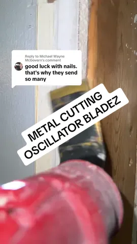 Replying to @Michael Wayne McGovern UNIVERSAL FIT!! - 50piece and 100 piece oscillator blade kits available !!! DIRT CHEAP!! #oscillator #oscillatorblades #multitool #milwaukee #milwaukeefuel #ryobi #dewalt #ryobi #bosch #construction #DIY #diyfriendly #auto #auto #autotechnician #mechanic #construction #bluecollar #tradesman #manuallabor #auto #garage #garagegoals #cars #car #carsoftiktok #cartok #Home #homerenovation #garagemakeover #tools #automotive #tiktokshop #tiktokmademebuyit #trucks #truck #trucktok #trucksoftiktok #forhim #FathersDay #milwaukee #tools #tool #mechanic #auto #automotive #automotivetechnician #technician #shopowner #DIY #garage #cars #car #carscene #mobilemechanic #cartok #truck #trucktok #diesel  #tiktokshop #scanner #techniciansoftiktok #technician #diagnostics #FathersDay #springtok #springsale #detailer #outdoorfun #TTSLevelUp #TikTokShopCreatorPicks #TTSCreatorBash 