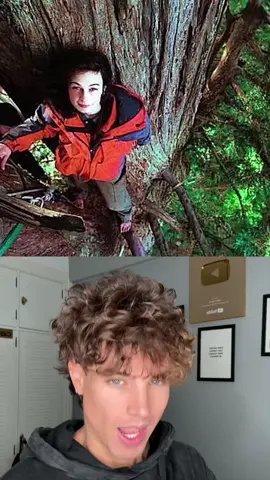 Viviendo encima de un árbol???