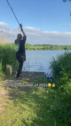 Well that certainly made casting 30 large spombs to feed the bream off worth it! I had 20+ bream last time, im not lettin that happen again they all got full and left🤣😅 #fishing #foryoupage #foryou #fy #fishinglife #fishingtiktoks #fishingvideos #fishingrod  #fishingtips #girlsfishing #fishinggirl