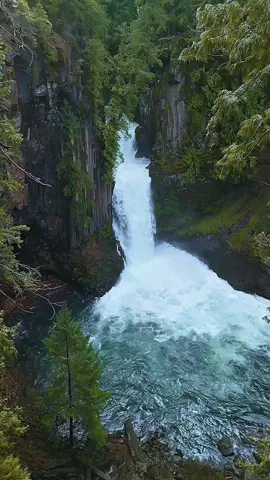 Toketee Waterfall, Oregon #Hiking #pacificnorthwest #waterfalls #oregonhikes #oregonwaterfalls #CapCut  