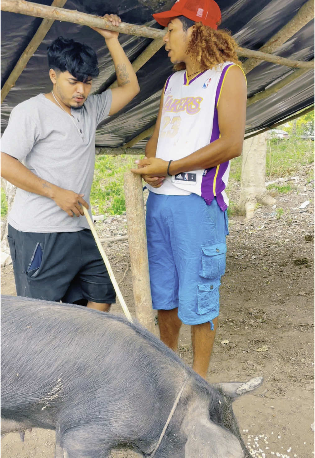 #video #unor #solohumor😂😂😂 #tiktok@el padrino🐴 