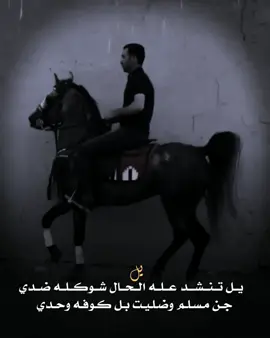 #تصميم_فيديوهات🎶🎤🎬 #مشاهير_تيك_توك #شعراء_وذواقين_الشعر_الشعبي🎸 #الشعب_الصيني_ماله_حل😂✌️ 