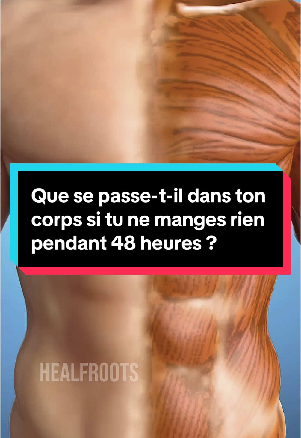 Réponse à @sissi79  Ce qui se passe quand tu ne manges pas pendant 48h ? Ton corps enclenche des processus rares et puissants : cétose profonde, autophagie, régénération cellulaire…