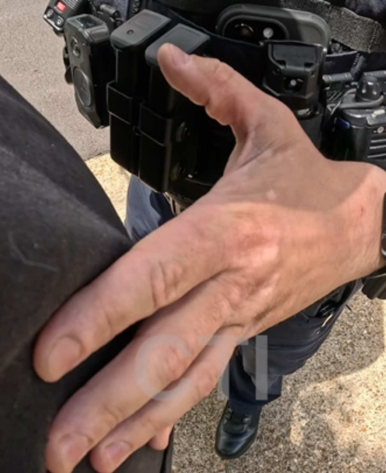 COPS OWNED AND DISMISSED #karensgoingwild #COPS #livepd #firstamendment #fyp