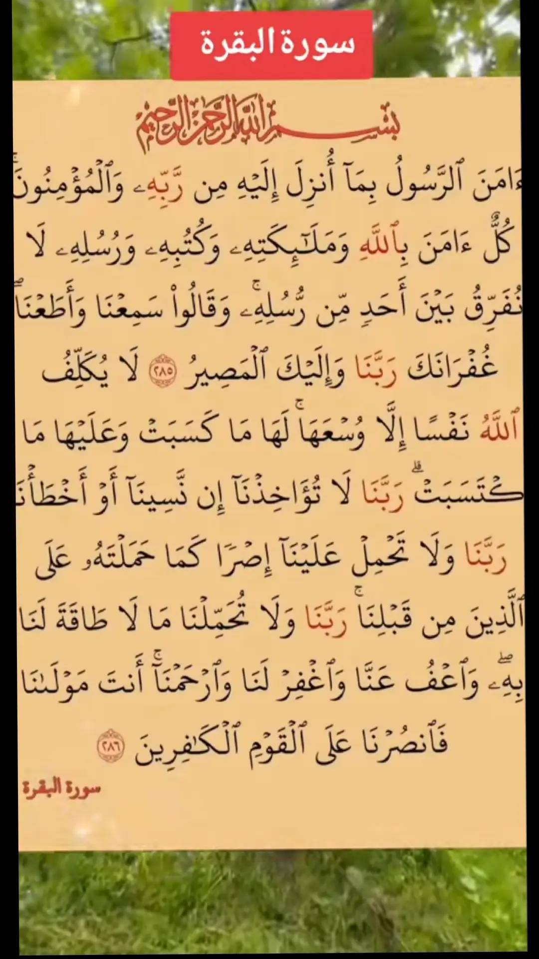 #القران_الكريم #راحة_نفسية 