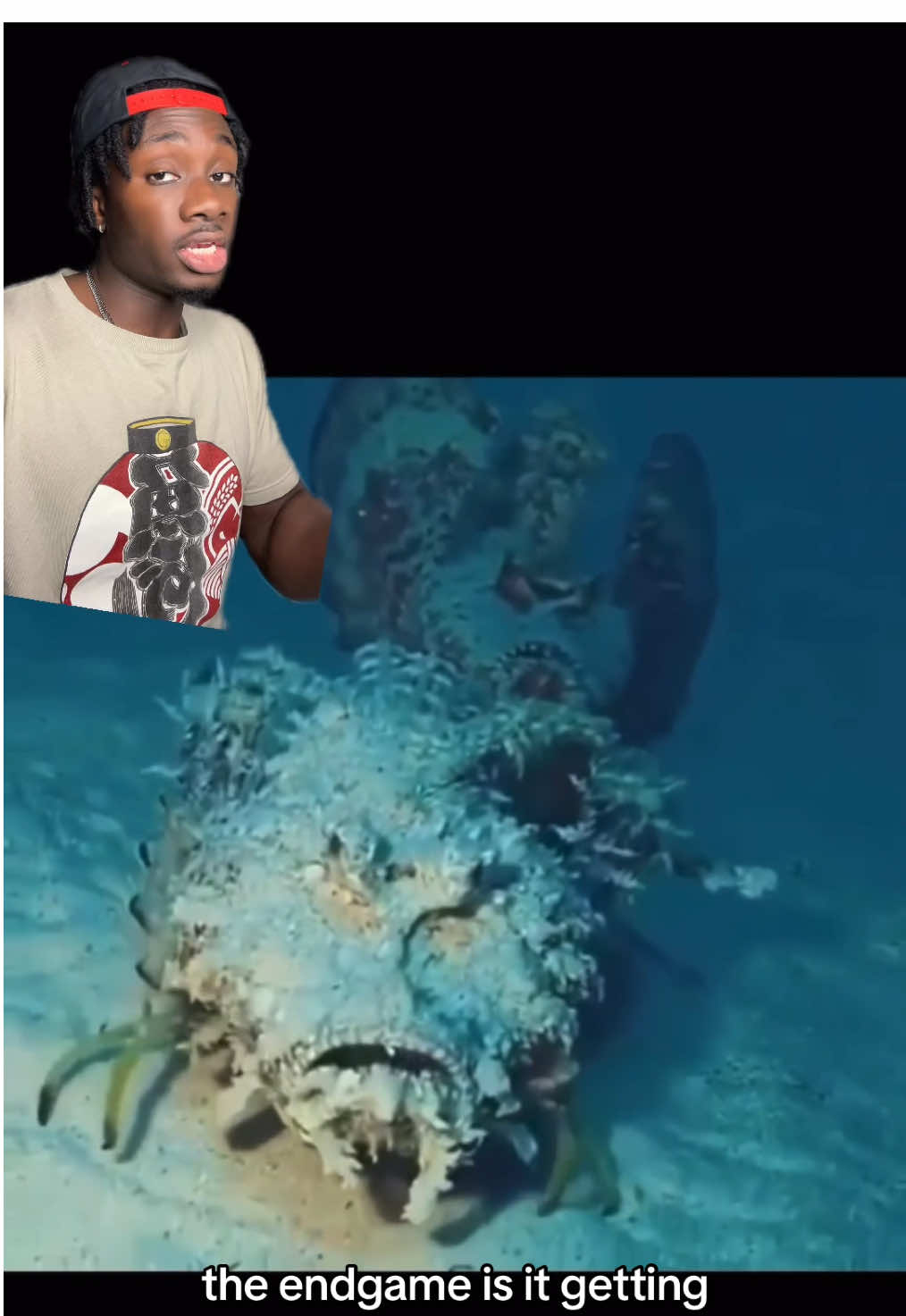 They should make a horror movie about it #stonefish#shark#ocean 