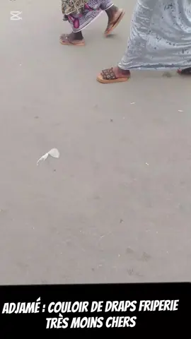 #CapCut 