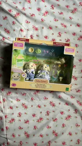 I WANT MORE #coquette #fawn #whimsy #coquetteaesthetic #haul #unboxing #calicocritters 
