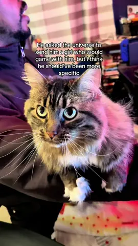 He did get a gaming buddy in a way… #catdad #catsoftiktok 