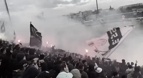 #الشعب_الصيني_ماله_حل😂😂 #انفرنو🖤🖤 #ultras_inferno_2010 #انفرنو_لتربية_وتعليم #inferno #سطيف____19 #الوفاق_الرياضي_السطايفي🤍🏁🖤 #الوفاق_السطايفي #الوفاق_العالمي🏁🤍🖤 #وفاق_سطيف19 #وفاق_سطيف_العالمي💪⚽🖤💪 #وفاق_سطيف_العالمي💪😉🇩🇿⚽👌❤ #وفاق_سطيف #سطايفية____كامل____يبانو___لهنا__😍 