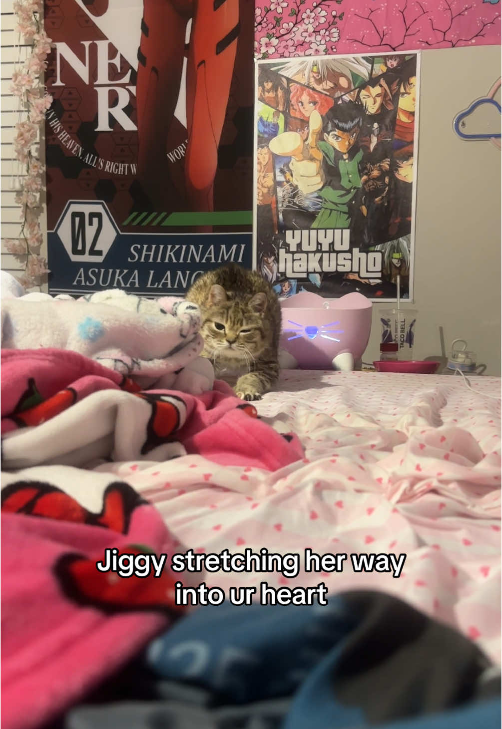 ANOTHER DRAFT SORRY YALL we love jiggy and her family !!! we all say in unison #jiggysmalls #dwarfcat #jiggycat #foryouuuu #fypシ゚viral 