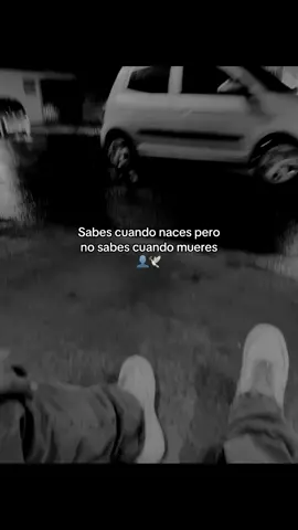 🥀#paratodoelmundo 