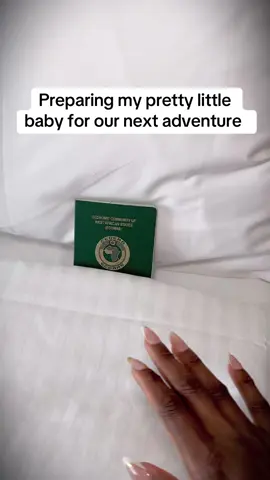 Recovery. #passport #traveltiktok #travellife #travelcontent #vacation #fyp 