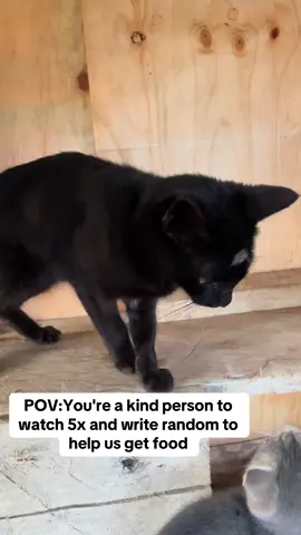 POV:You're a kind person to watch 5x and write random to help us get food